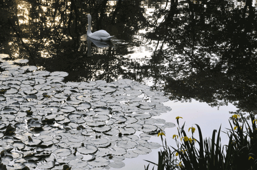 c0093046_7374369.gif