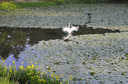 c0093046_73837.gif