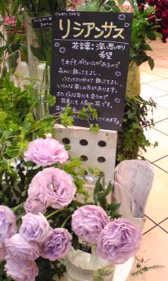 花屋さんにて。_b0043952_14412865.jpg