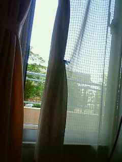 a0042255_16225254.jpg