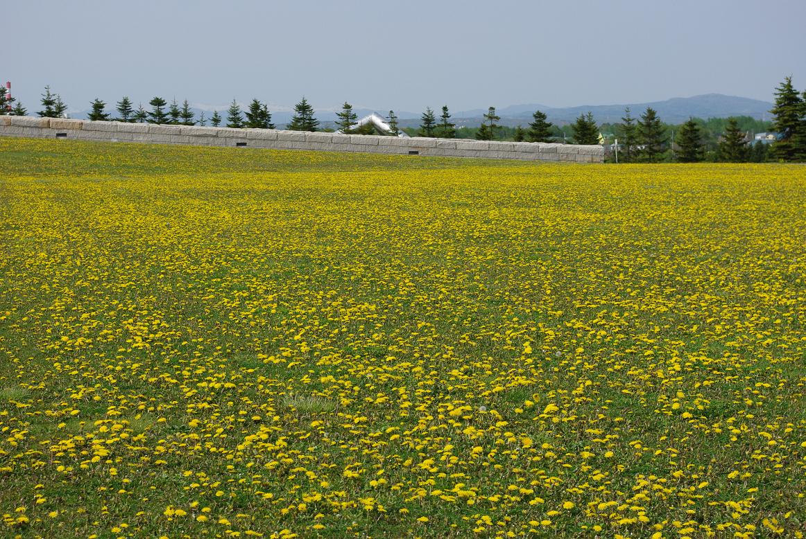d0089157_2234246.jpg