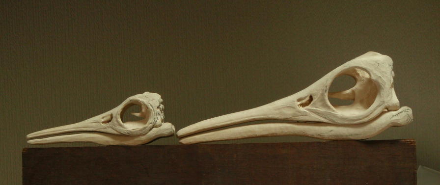 e0064457_2313136.jpg