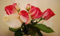 a0094960_23504965.jpg