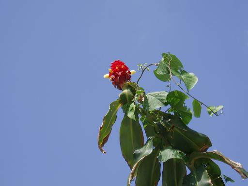 c0180460_235916.jpg
