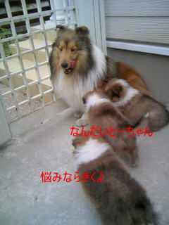 つめきり_f0126965_12215733.jpg