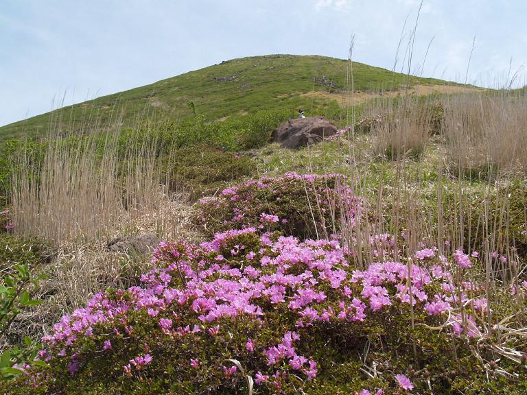 シャクナゲ谷の三俣山_f0016066_1412496.jpg