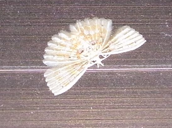 b0070071_9335635.jpg