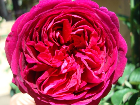e0025872_156843.jpg
