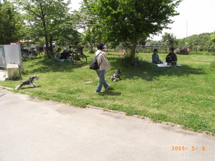 b0002879_22433470.jpg