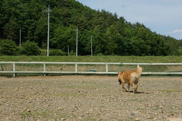 ストーリーファーム最終日 04_c0109780_17103153.jpg