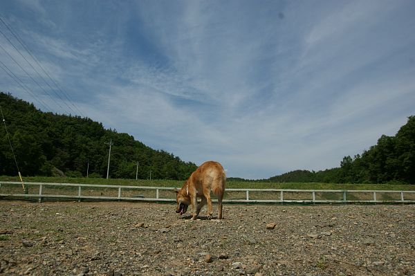 ストーリーファーム最終日 04_c0109780_1710506.jpg