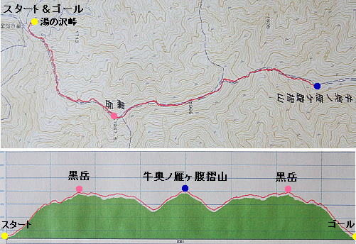 牛奥ノ雁ヶ腹摺山（その3）　５月１９日（火）_b0136381_1432079.jpg