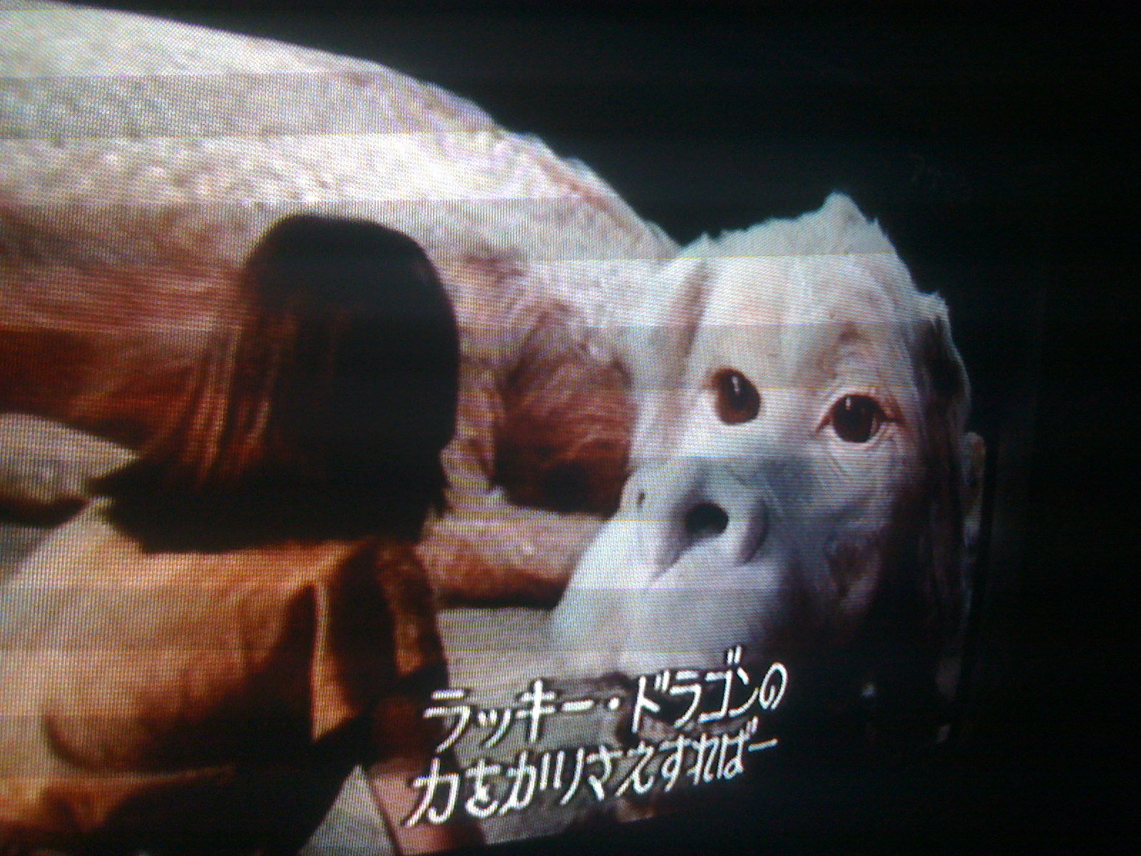 深夜に懐かしい映画をやっていてつい写真を撮る フウサワシュンスケ_b0048882_0371837.jpg