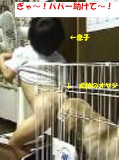 朝から☆犬ランチ（お尻）_f0194591_11505569.jpg