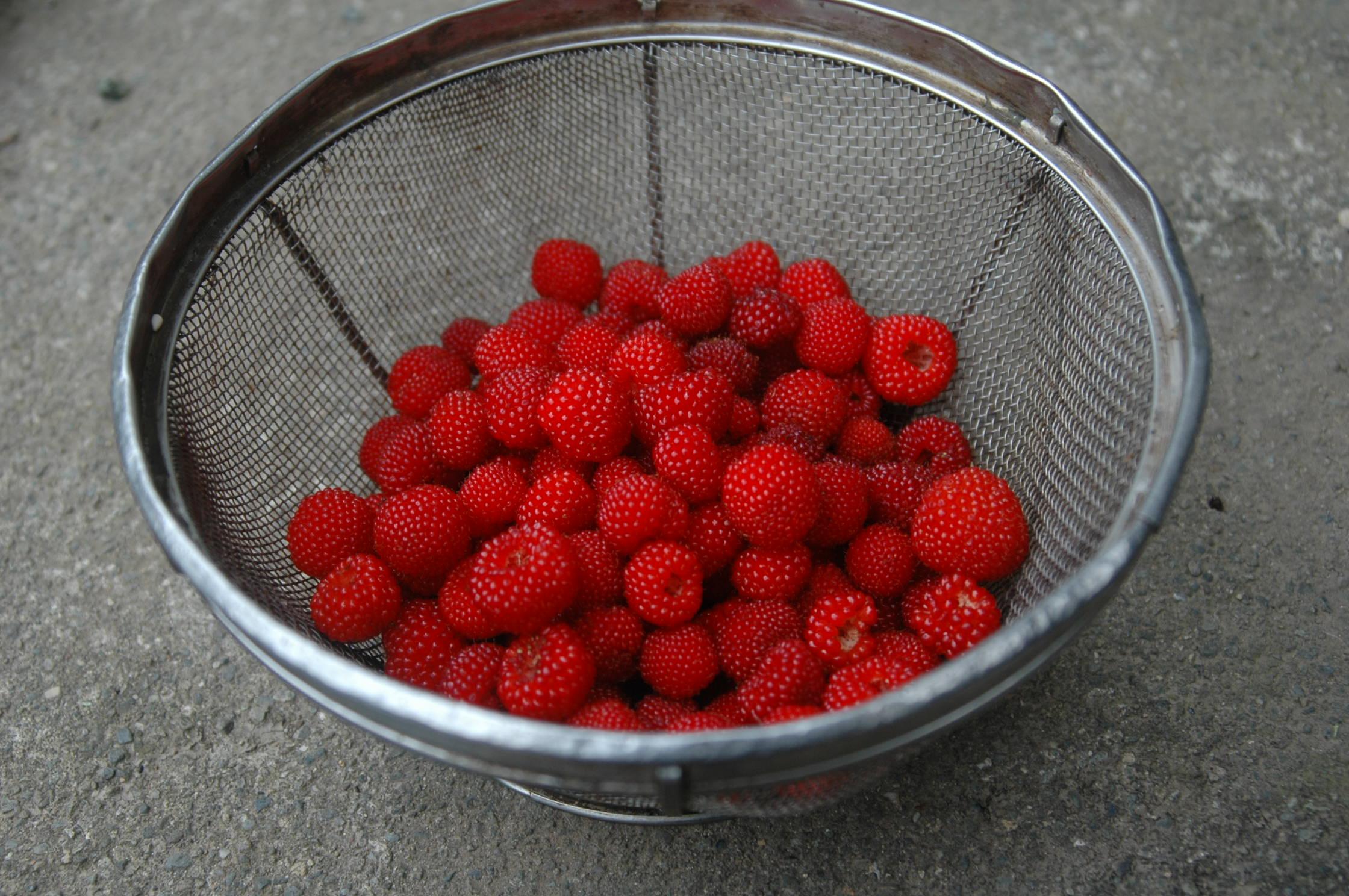 b0125397_91231.jpg