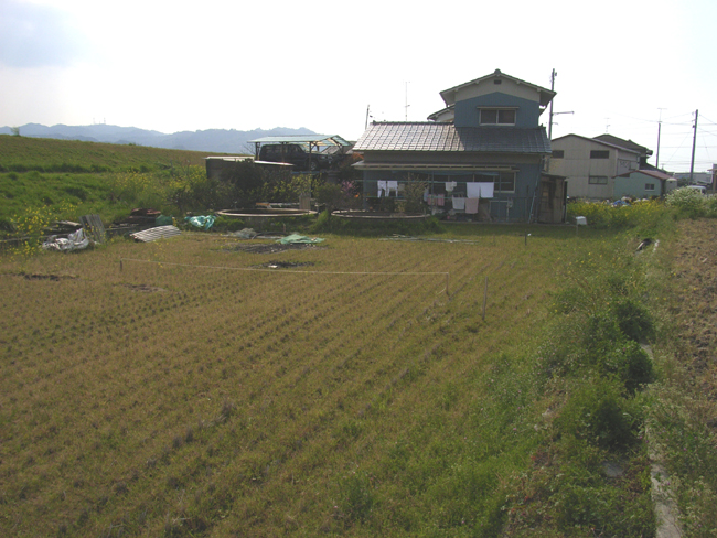 申請が下りました!_b0186200_20414588.jpg
