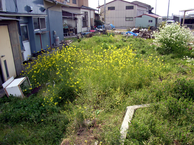 申請が下りました!_b0186200_20422465.jpg