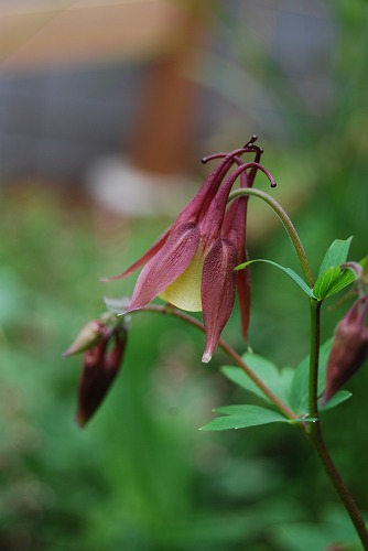 c0124100_1512839.jpg