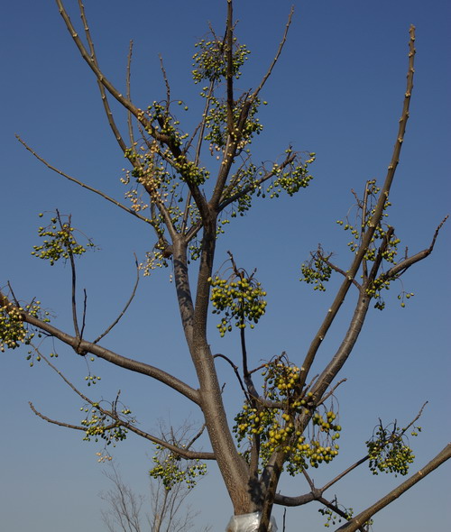 c0101713_1335778.jpg