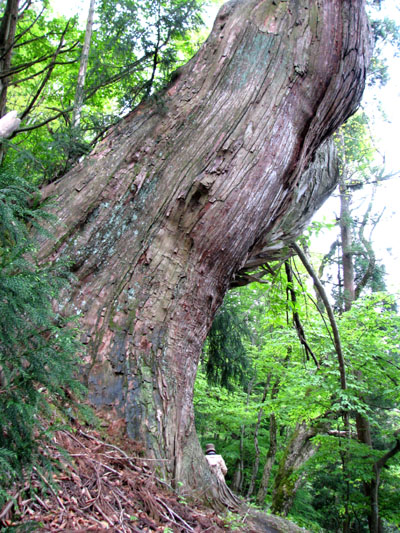 佐々里峠から山へ_e0048413_203966.jpg