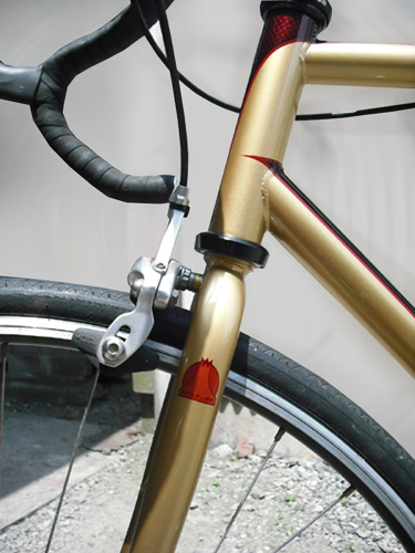 FUJI Track Racer 6_d0130115_21251232.jpg