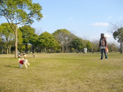 遠くに写ってる・・わん達が気になる♪_e0119017_28116.jpg