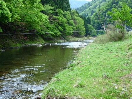 六月寒い朝、8.2℃　　　朽木小川・気象台より_c0044819_7285891.jpg