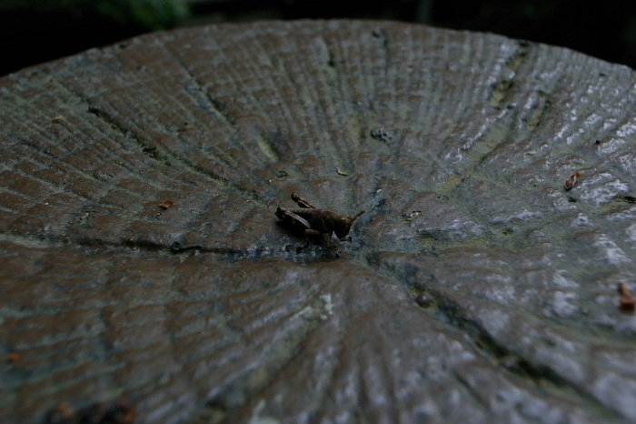 f0164820_23214257.jpg