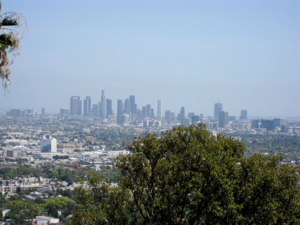 c0148627_1475550.jpg
