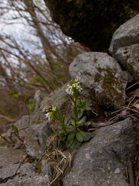 c0006928_23503028.jpg