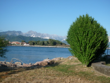 Bocca di Magra_d0136540_48776.jpg