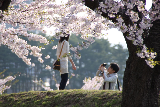 Sakura 2009_b0083049_2321029.jpg