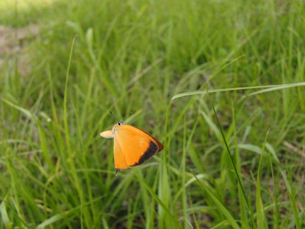 c0045352_1655466.jpg