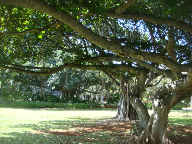 f0036857_12124743.jpg