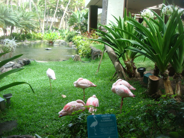 f0036857_12153390.jpg