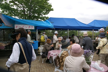 手柄山温室植物園は姫路のリフレッシュ拠点_c0149171_1151314.jpg