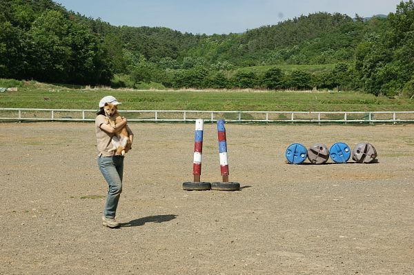 ストーリーファーム最終日 05_c0109780_1829712.jpg