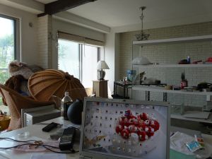 2009年5月21日 重労働続く_b0098584_7223599.jpg