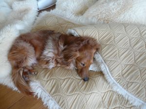 2009年5月21日 重労働続く_b0098584_7225565.jpg