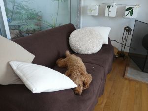 2009年5月21日 重労働続く_b0098584_7322840.jpg