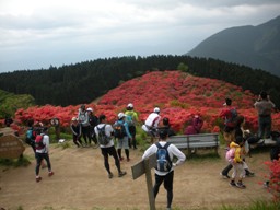 b0050787_914392.jpg