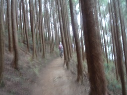 b0050787_9162238.jpg