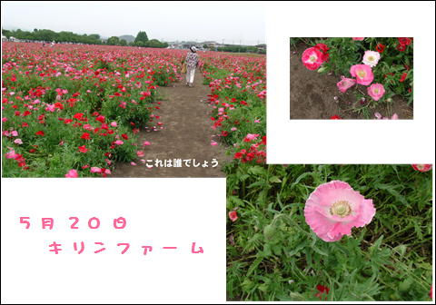a0076594_8375694.jpg
