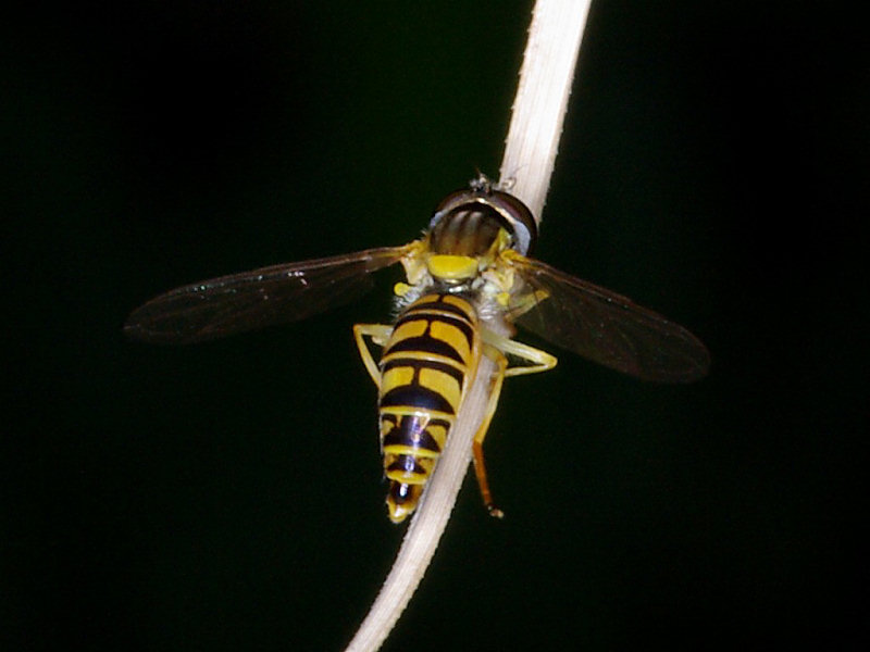 f0204094_15968.jpg