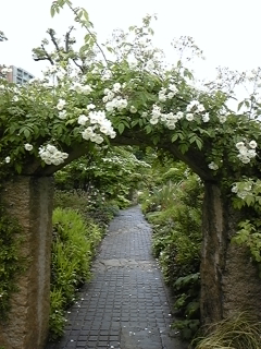 f0017897_16122113.jpg
