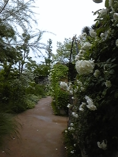 f0017897_16224720.jpg