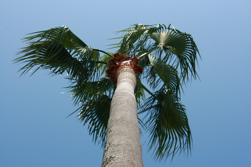 e0063003_11301548.jpg