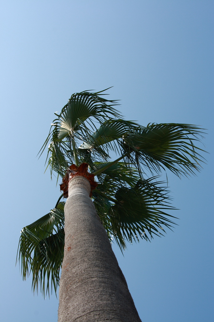 e0063003_138928.jpg