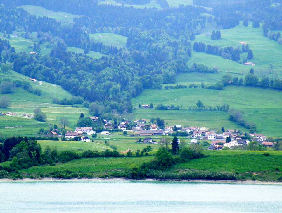 d0140806_61667.jpg