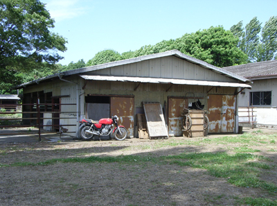 東大農場スケッチ会 2009年5月22日(金)_b0129807_20123376.jpg